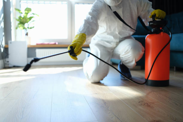 Best Flea Control Services  in Falls Creek, PA